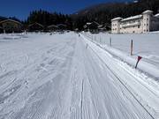 Eggerfeld - Rope tow/baby lift with low rope tow