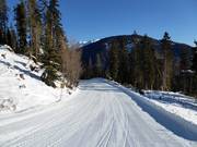 Valley run no. 1 to Sillian