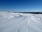 Toppspåret cross-country trail at the summit