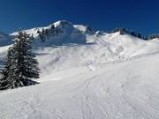 Magnificent powder slopes at Falben