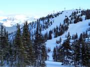 View of the slopes at the Eagle Ridge Chair