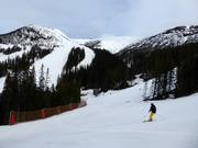 Slope from Totthummeln with a view of Åreskutan