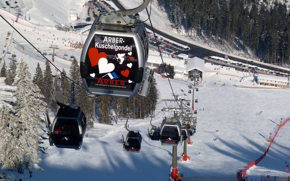 Zwieseler Winkel: best ski lifts – Lifts/cable cars Arber