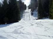 Gelbhansekopflift - T-bar