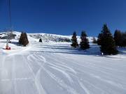 Perfect slope grooming at Zettersfeld
