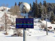 Information about the weather in Brigels