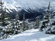 Glades runs (cleared forest trails) at North Peak