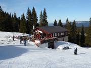 Mountain hut tip Bijeli Javor