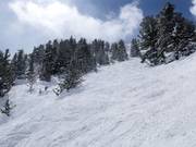 Challenging terrain at Powderhorn Cirque