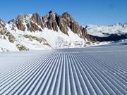 Fresh tracks in the snow