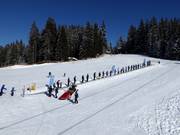 Skiförderband Mittelstation Koglmoos - People mover/Moving Carpet