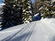 Panorama cross-country trail at Kristberg
