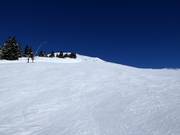 Descent Wildkogelbahn Mountain-Mid