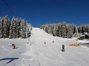 South descent Rittisberg drag lift