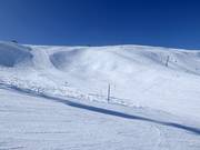 View of the Gratbort slope