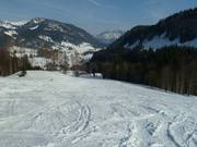View into the Heutal from the slopes