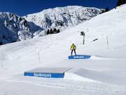   KidsPark: PenkenPark Mayrhofen