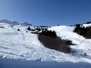 Free ski area between Plitschès and Sesolas