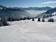 Fallenboden Run North