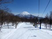 Easy beginner slope in Niseko Village