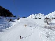 Valley run No. 47 Dieni