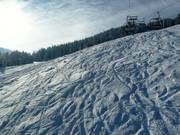 Powder skiing at the Einhornbahn II