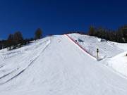 Black slope at the Carosello 3000 gondola