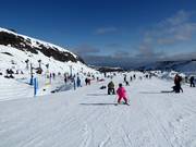 Practice area Alpine Meadow