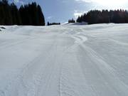 Groomed slope in the Balderschwang ski area