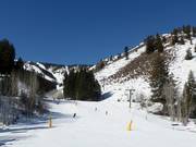 Easy valley run River Run