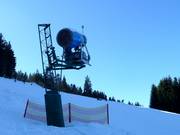 Snow cannon at Hausberg