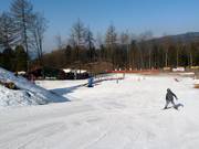 Beginner area in the Children's Ski Park