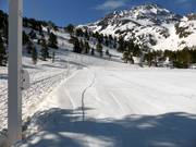 Practice area at the ski school lift