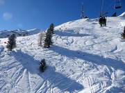 Deep snow area at Langenstein