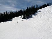 Meadows downhill run