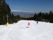 Very easy slope Ski road №1a at the platter lift Vlek Chalin