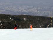 Slope Laleto lesna 3