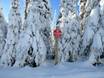 Columbia Mountains: environmental friendliness of the ski resorts – Environmental friendliness Sun Peaks
