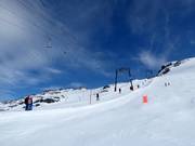 Gletscher Skilift Titlis - T-bar