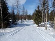 Cross-country trails in Kläppen