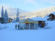 Umbrella bar at the Mt. Morrisey valley station