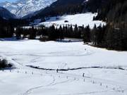 Cross-country skiing in Splügen