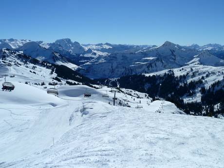Bregenz Forest Mountains: Test reports from ski resorts – Test report Damüls Mellau