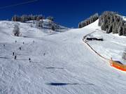 Also suitable for beginners: slopes at Hirschkogel