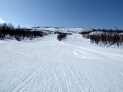Easy slope in the lower section of the Kåppasliften