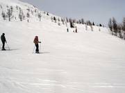 Slope No. 150 Look Out