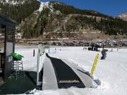 Molly's Magic Carpet