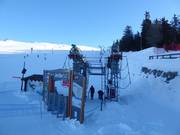 Lièvre Blanc 2 - J-bar