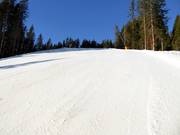 Challenging Geols descent to the valley station of the Panoramabahn Geols
