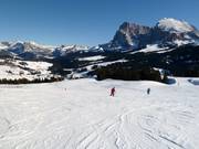 Slope at the Floralpina chairlift